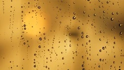 Дожди возвращаются: погода в Сахалинской области на пятницу, 20 мая