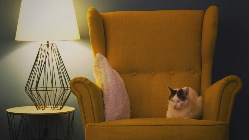 Село и часть Южно-Сахалинска остались без света 28 августа