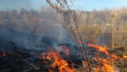 Сухая трава вспыхнула в Корсаковском районе утром 26 апреля