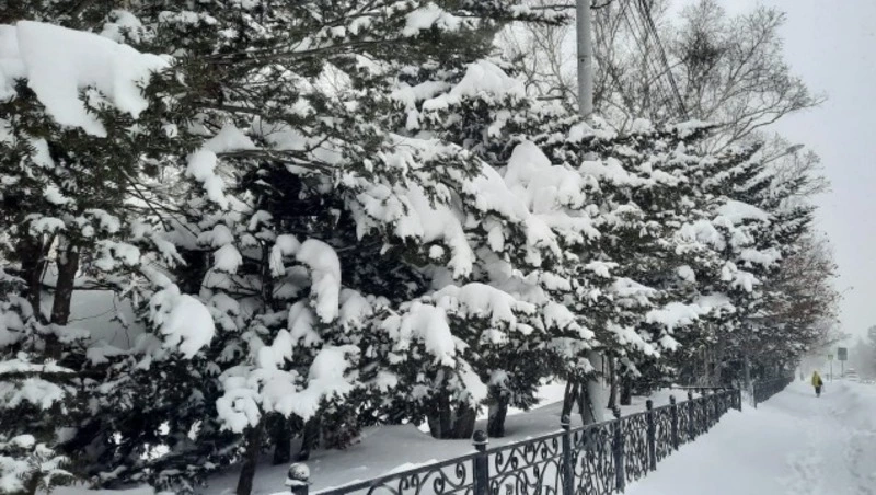 Снег и ветер спрогнозировали синоптики в Сахалинской области 21 февраля 