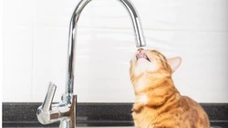 Детские сады, школа и больница остались без горячей воды 31 октября 