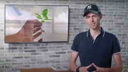 «Лысый город — враг»: Вишневский объяснил, почему нельзя пилить деревья на Сахалине