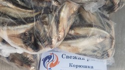 Продажу красноперки и корюшки по доступной цене начали в Поронайске 30 ноября