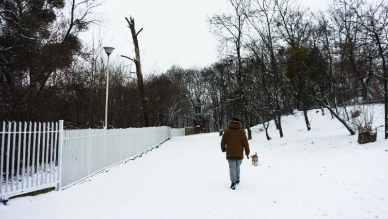 Снег и северный ветер ожидают в Южно-Сахалинске 24 января 