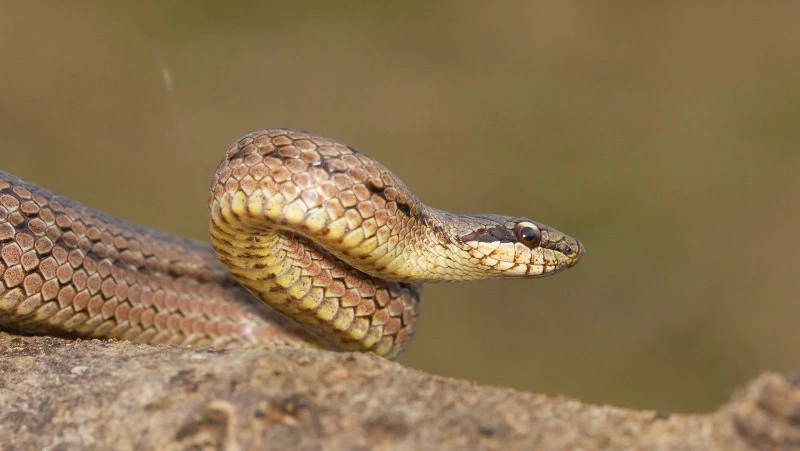 Церковный праздник 12 июня 2025: что нельзя делать в этот день, приметы