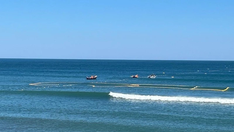 В текущем году на Дальнем Востоке выловят не больше 140 тысяч тонн горбуши