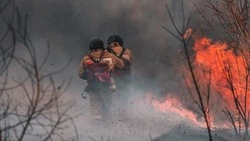 Крупный лесной пожар зарегистрировали в Ногликском районе