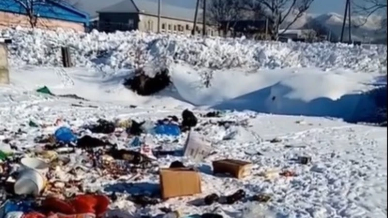 Выкидывают прямо у тропинки. Сахалинцы пожаловались на проблемы с вывозом мусора