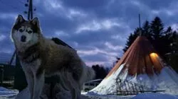 Ледопады в бухте и хаски в упряжке: ТОП-10 зимних развлечений на Сахалине