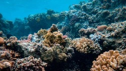 Земля преодолела рубеж, после которого изменения необратимы