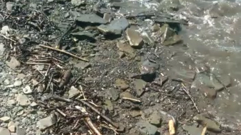 Мазут на пляже в Александровске-Сахалинском приводит в ужас местных жителей