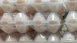 Глава ФАС: в России наметилась тенденция к снижению цен на яйца