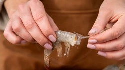 Каков деликатес? На Сахалине проверили качество 86 тонн северной креветки