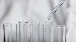 В Индии зафиксировали вспышку вируса Нипах