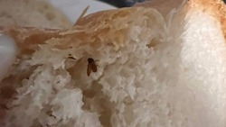 Хлеб с запеченными насекомыми попался жительнице Корсакова