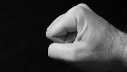 Сахалинец получил «условку» за избиение полицейского на берегу залива Терпения