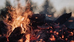 Пожар уничтожил гектар сухой травы в Углегорском районе Сахалина