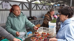 Администрация Южно-Сахалинска напомнила о местах для продажи излишков урожая