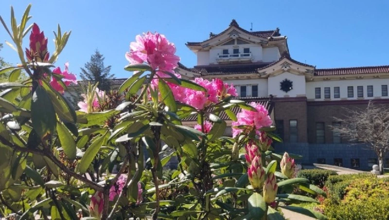 Более 600 млн рублей направят на развитие культуры в Сахалинской области