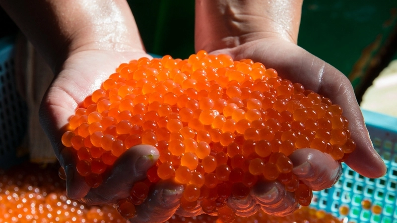 Как правильно выбрать красную икру к Новому году