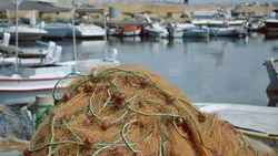 Хабаровских рыбаков осудили за браконьерство на Курилах
