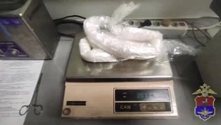 Гироскутер с мефедроном: полицейские пресекли попытку доставки крупной партии наркотиков на Сахалин