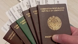 Почти сотню мигрантов выдворили с территории Сахалинской области в 2025 году