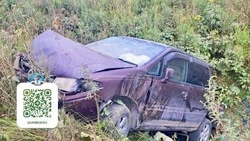 Минивэн слетел в кювет в Корсаковском районе, водитель пострадала