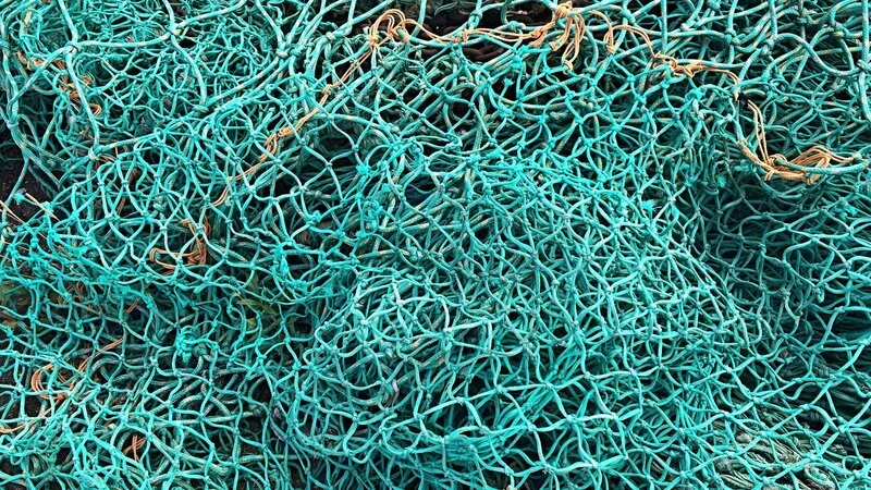 Сахалинцы и курильчане будут бесплатно ловить сетями по три горбуши в день