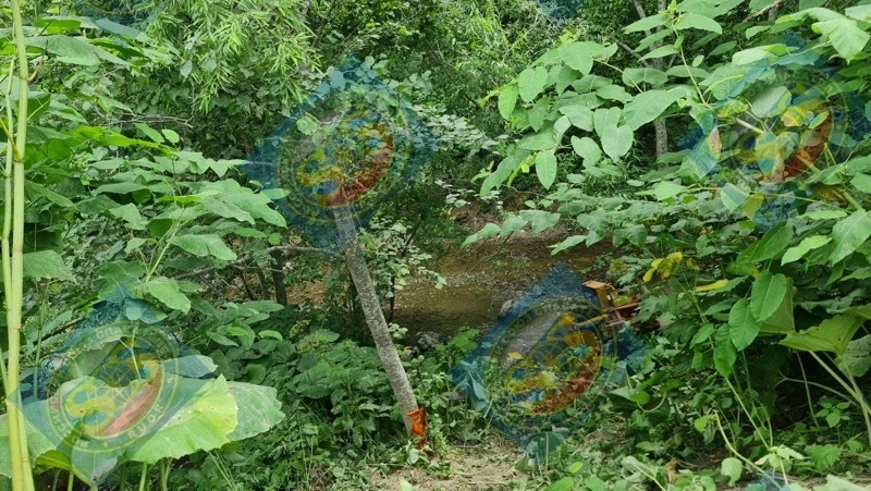 Спасатели озвучили детали смертельного ДТП на дороге Дальнее — Елочки 24 июля