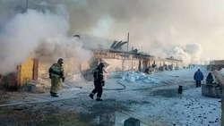 Пожар в приюте и первые «мамонтята»: главные новости выходных в Сахалинской области