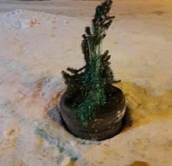 В открытый колодец посреди дороги на юге Сахалина «посадили» новогоднюю елку