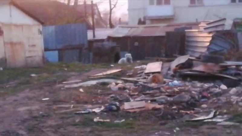 В одном из дворов Южно-Сахалинска огромный пес в будке охраняет ничего