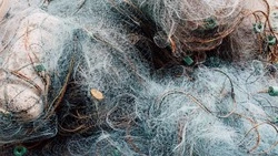 «День без сетей» пройдет на Сахалине в мае