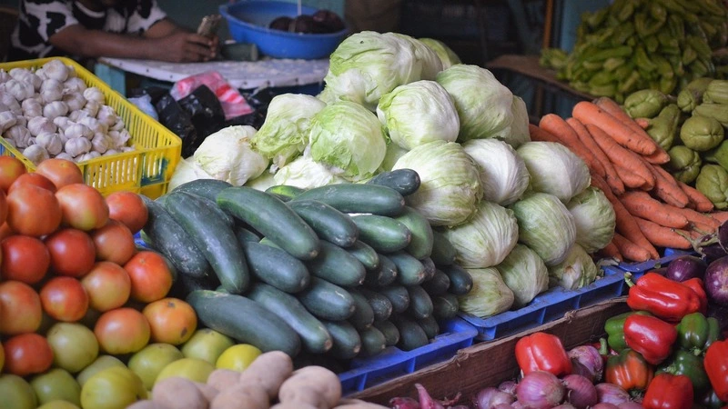 На Сахалине за неделю подешевела капуста, а огурцы и молоко «передумали» дорожать
