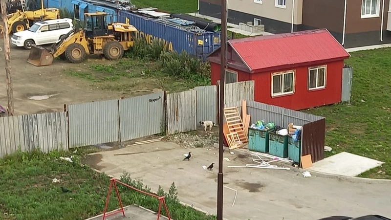 Ежедневную войну с мусором переживают жители Долинска