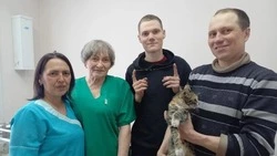 Проволока в горле: сахалинские ветеринары спасли кошку от верной гибели