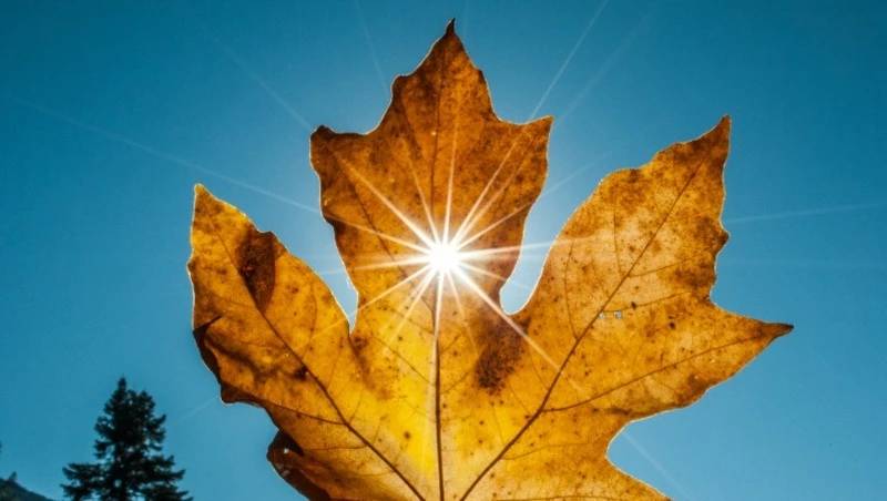 Тепло, солнечно и без осадков будет в Южно-Сахалинске 5 ноября