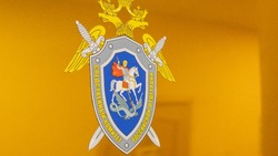Подросток два года насиловал 10-летнего мальчика и 9-летнюю девочку в селе на Сахалине 