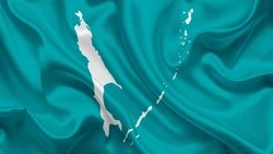 Общественники Сахалина поздравили регион с 78-летием