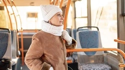 Больше 10 межгородских автобусов на Сахалине возобновили работу после непогоды