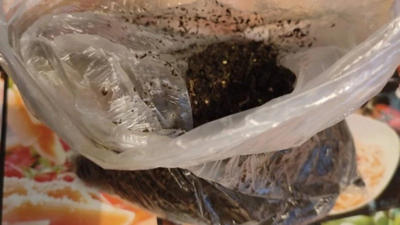 Полицейские изъяли целый пакет каннабиса у сахалинца 