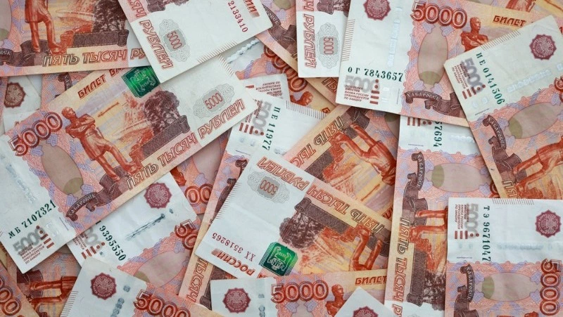 Сахалинка обманула государство на 350 тысяч рублей ради выплаты долгов бывшего мужа