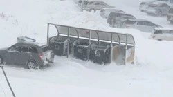 Вывоз мусора приостановили на Сахалине из-за мощного циклона