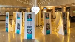 Голосование за лучших меценатов начнется в Сахалинской области 15 ноября