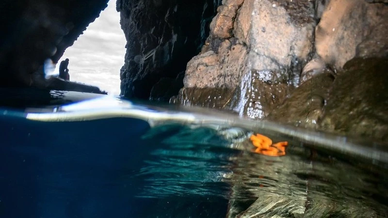 Появились редкие кадры подводного мира острова Монерон