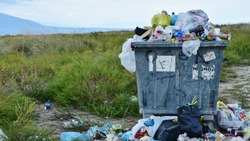 Управление по обращению с отходами обязали заняться переработкой мусора на Сахалине