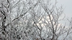 Морозы до −30 градусов и снег ожидают жителей Сахалинской области 23 января