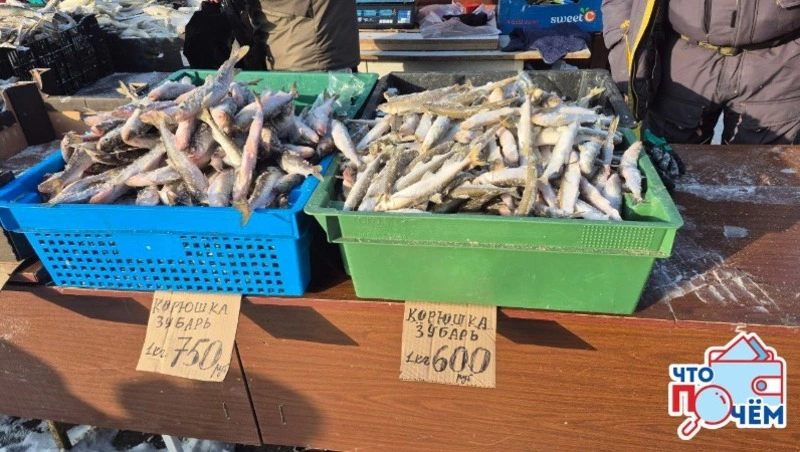 Сколько стоит свежая рыба на Сахалине в 2026 году