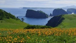 Фотографии острова Шикотан с необычного ракурса показали в соцсетях